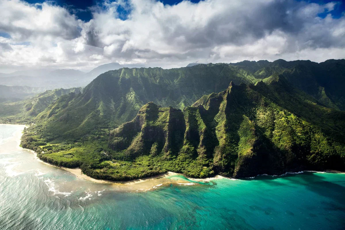 The Last Piece of Paradise on Earth