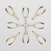 Wishbone